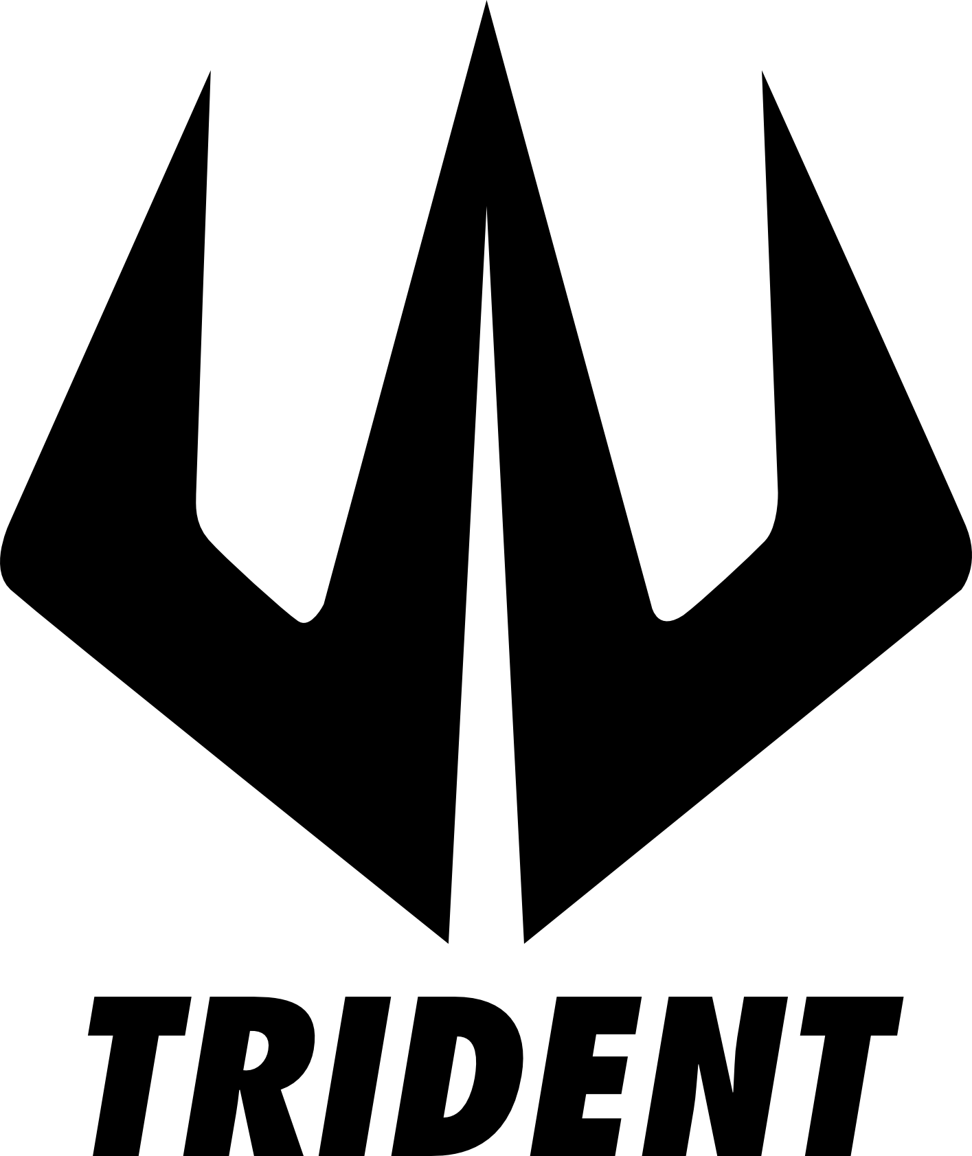 Technical Sponsor